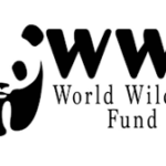 world wildlife fund